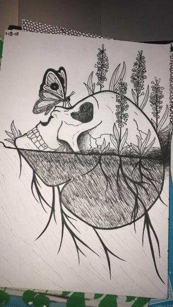 Картины для срисовки карандашом