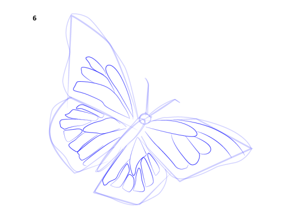 Бабочки карандашом необычные