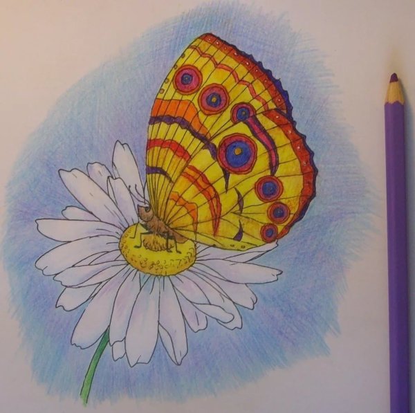 Несложные рисунки цветными карандашами