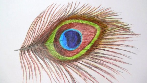 Рисунки цветными карандашами