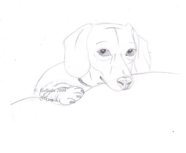 Герасим и Муму Бильжо