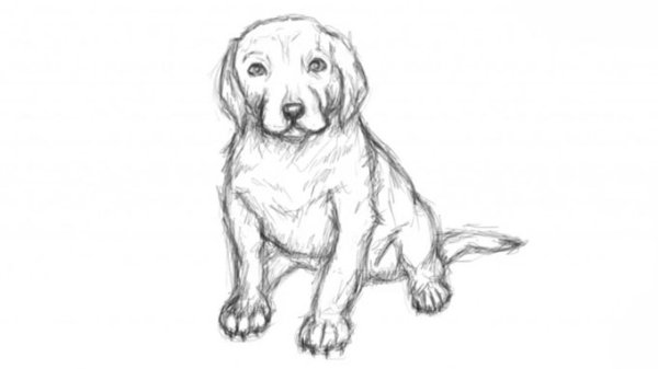 Иллюстрации к повести Муму Тургенева