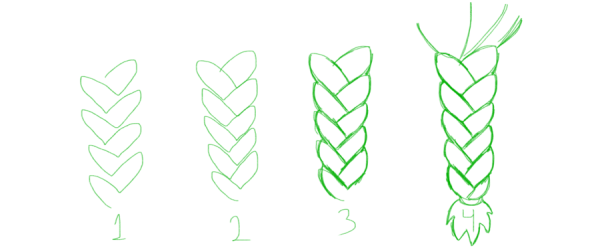 Рисовать косички