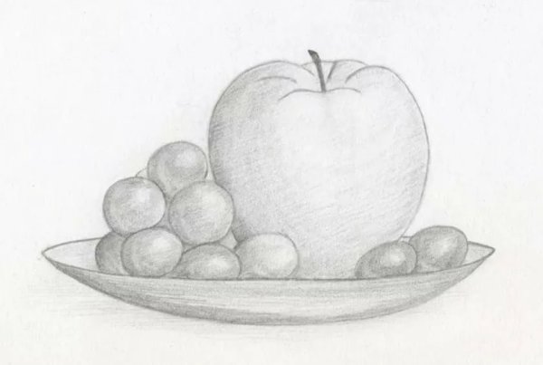 Натюрморт с фруктами карандашом