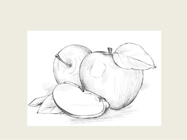 Рисунки фруктов для срисовки карандашом