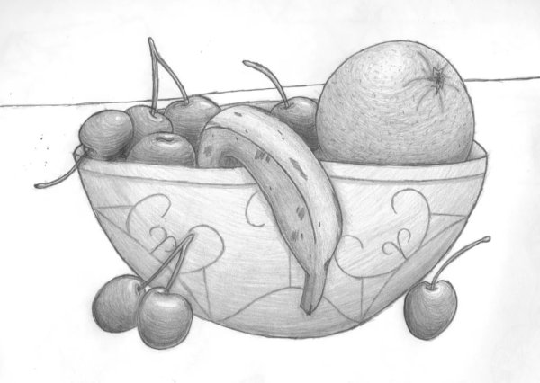 Рисунок фруктов карандашом
