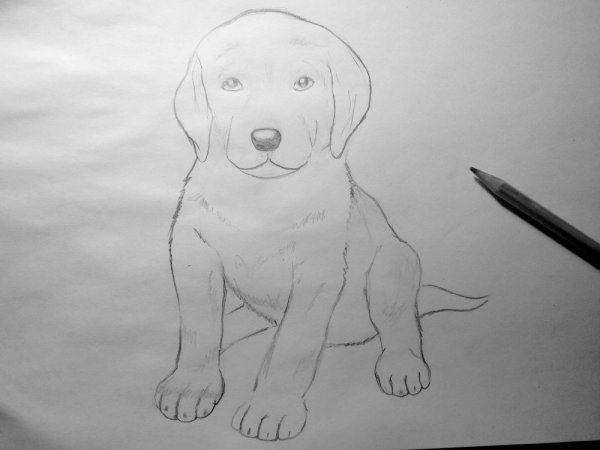 Рисунок на свободную тему легкий