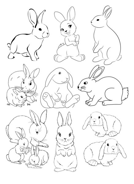 Набросок кролика для детей