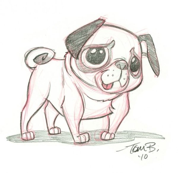 Рисунки для срисовки мопсики