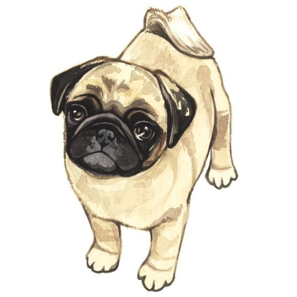 Мопс и дети