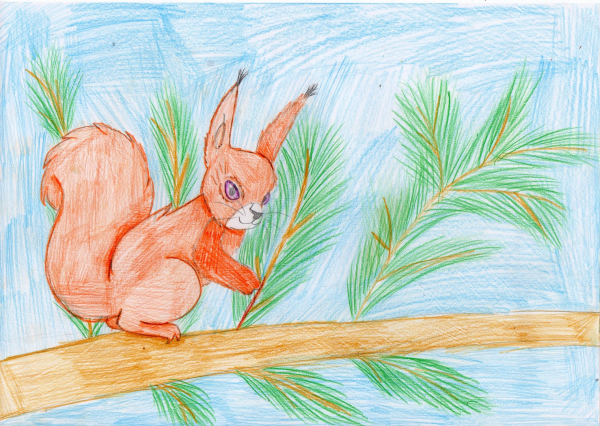 Рисунок белки