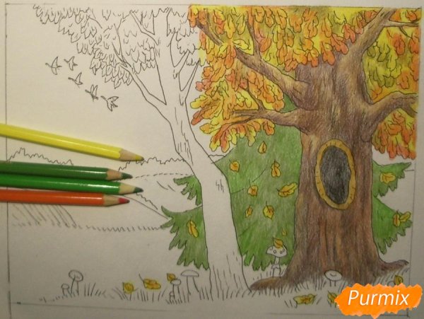 Осень цветными карандашами для детей