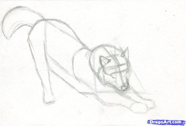 Волк набросок карандашом для начинающих