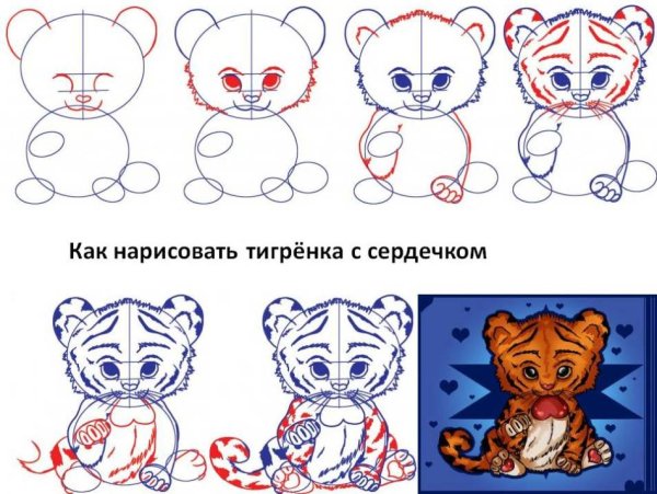 Рисунок тигра пошагово для детей