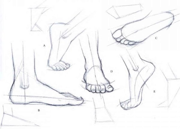 Наброски частей тела человека карандашом