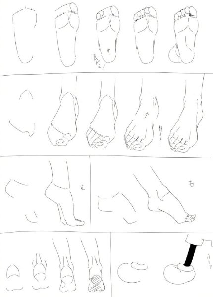 Поэтапное рисование стопы