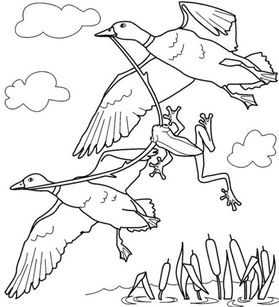 Гаршин лягушка путешественница