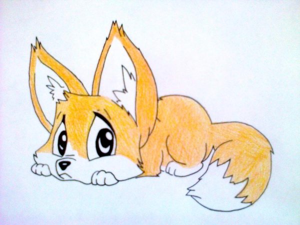 Лисенок для срисовки