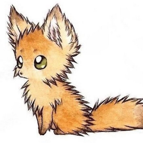 Рисунки Лис для срисовки