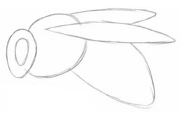 Шмель поэтапное рисование