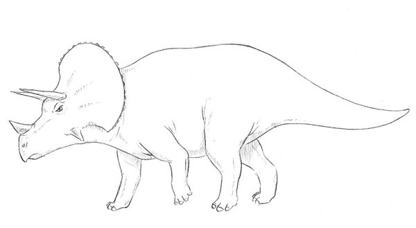 Трицератопс раскраска