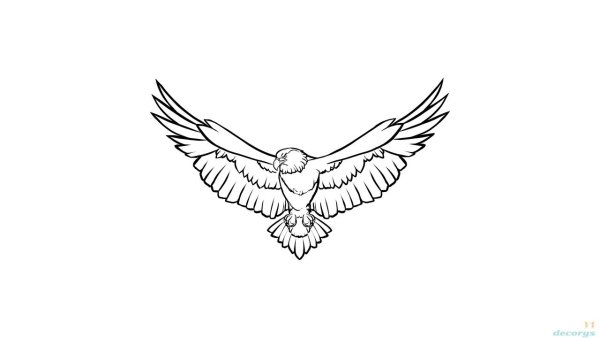 Рисунок орла для срисовки