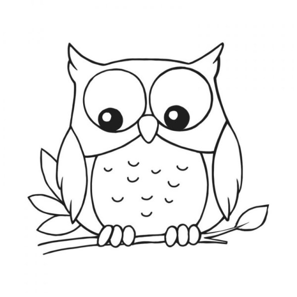 Сова рисунок для срисовки
