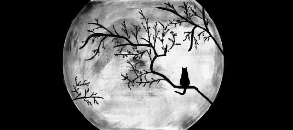 Ночь карандашом