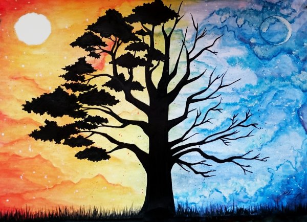 Дерево день и ночь