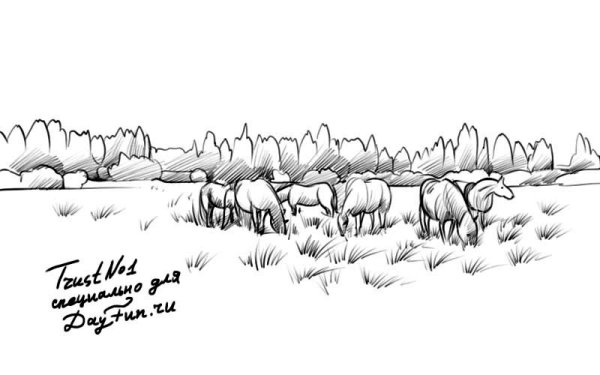 Степь рисунок карандашом