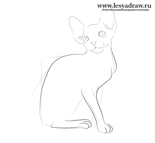 Сфинкс кошка рисунок карандашом