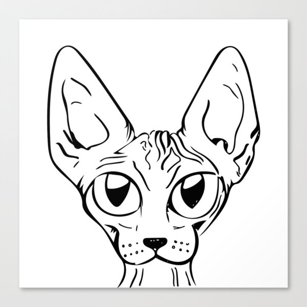 Раскраска сфинкс кошка