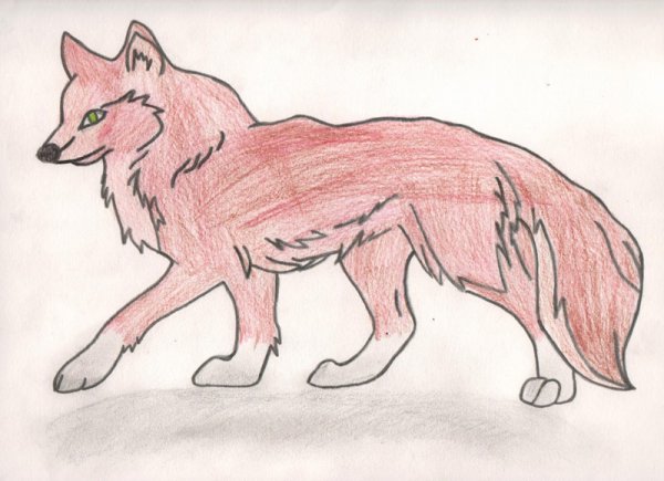 Красный волк рисунок