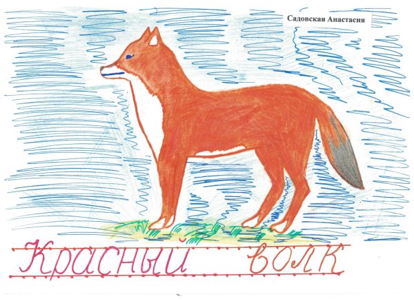 Красная книга рисунок