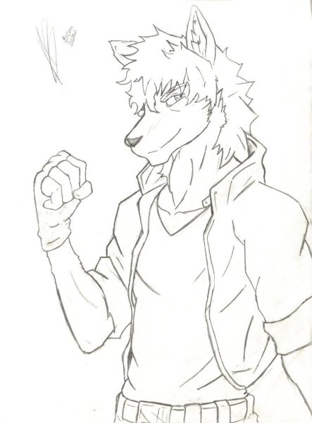 Раскраска фурри волк