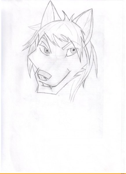 Фурри рисунки карандашом