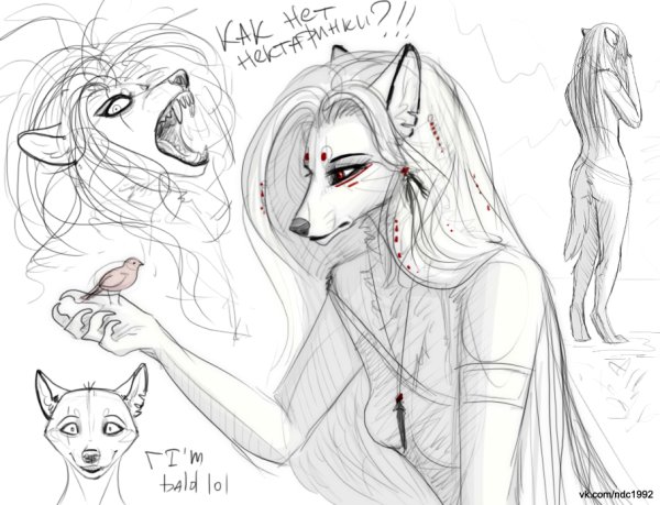 Анатомия фурри для рисования