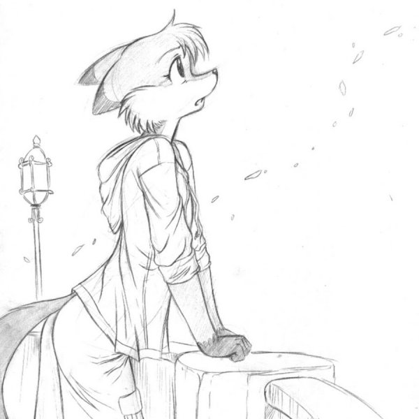 Фурри для срисовки карандашом