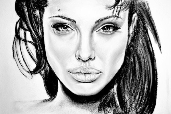 Анджелина Джоли портрет карандашом