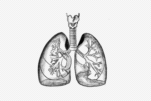 Рисунки людей легкие