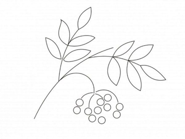 Ветка рябины» (рисование с натуры) (т.с.Комарова, стр.40)