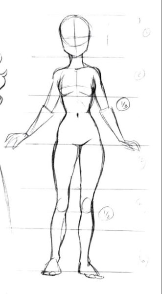 Тело для срисовывания