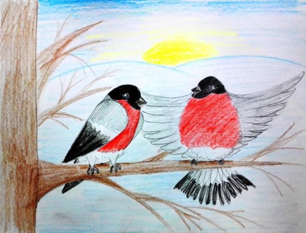 Рисование снегиря