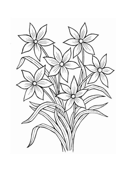 Букет карандашом