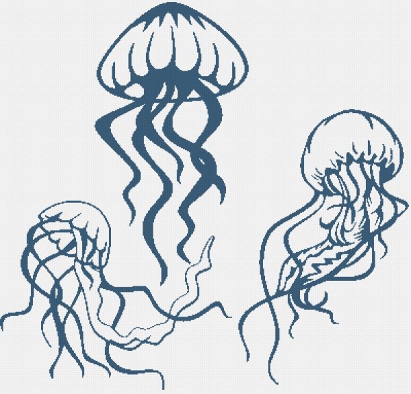 Медузы Джеймс ИДС