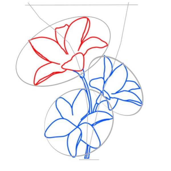 Букет цветов раскраска для детей