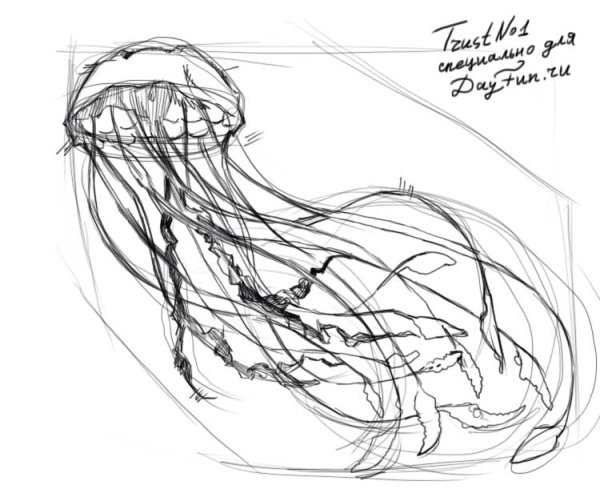 Медуза рисунок поэтапно