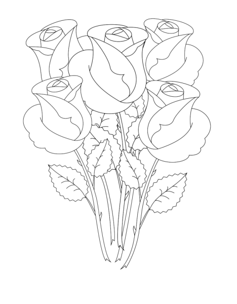 Букет рисунок карандашом