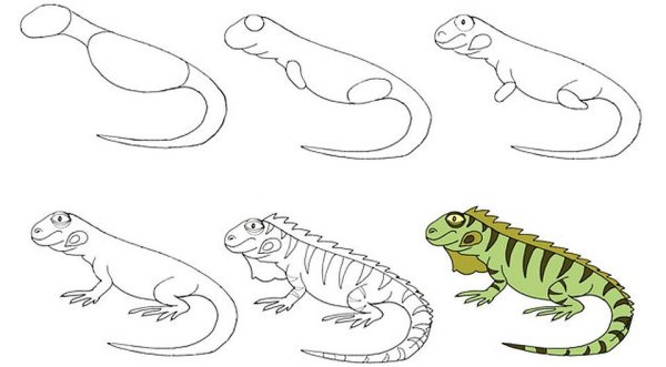 Рептилии для рисования