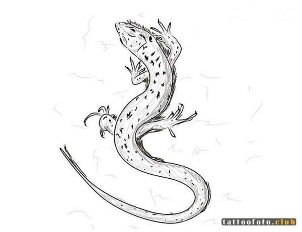 Ящерица рисунок легкий для детей легкий
